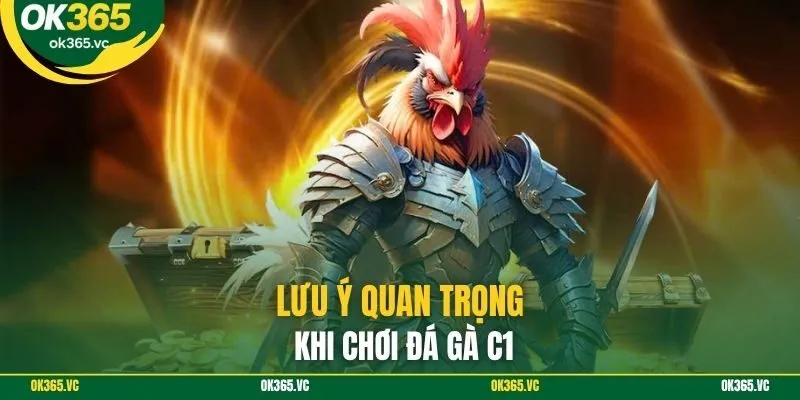 Lưu ý quan trọng khi chơi đá gà C1