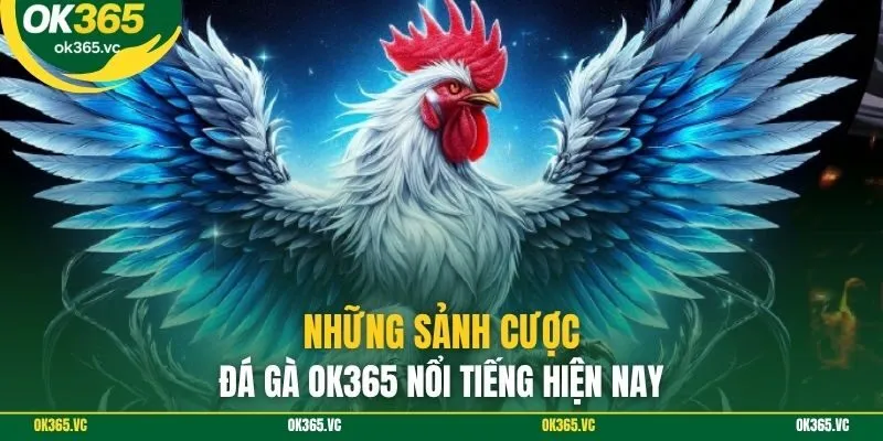 Những sảnh cược đá gà OK365 nổi tiếng hiện nay