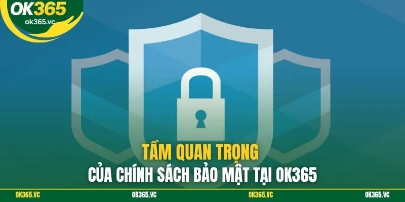 Tầm quan trọng của chính sách bảo mật tại OK365