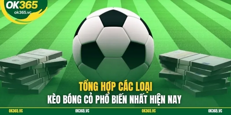 Tổng hợp các loại kèo bóng cỏ phổ biến nhất hiện nay