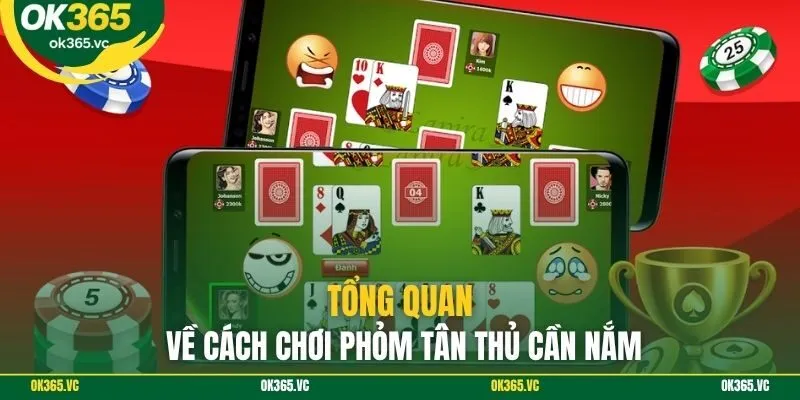 Tổng quan về cách chơi phỏm tân thủ cần nắm